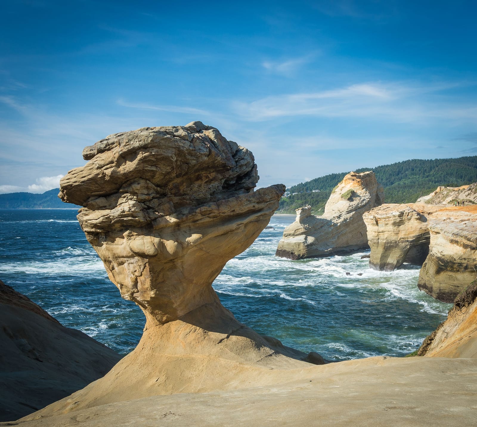 #thatPNWrock