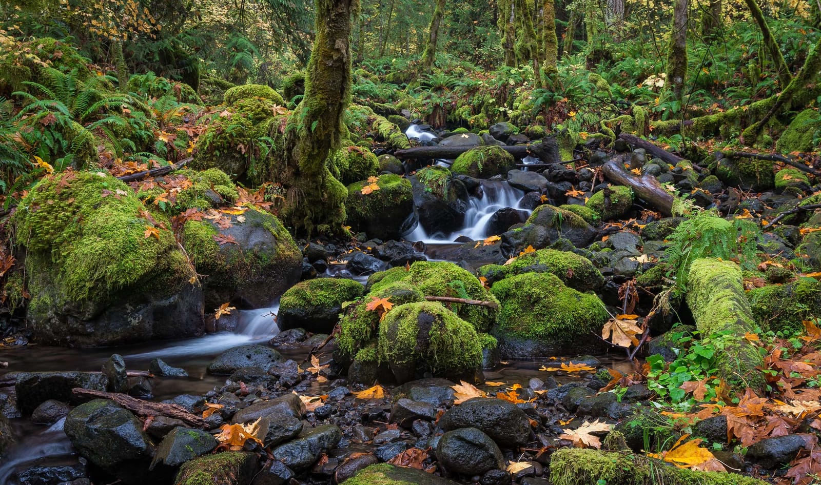 Dry Creek Falls