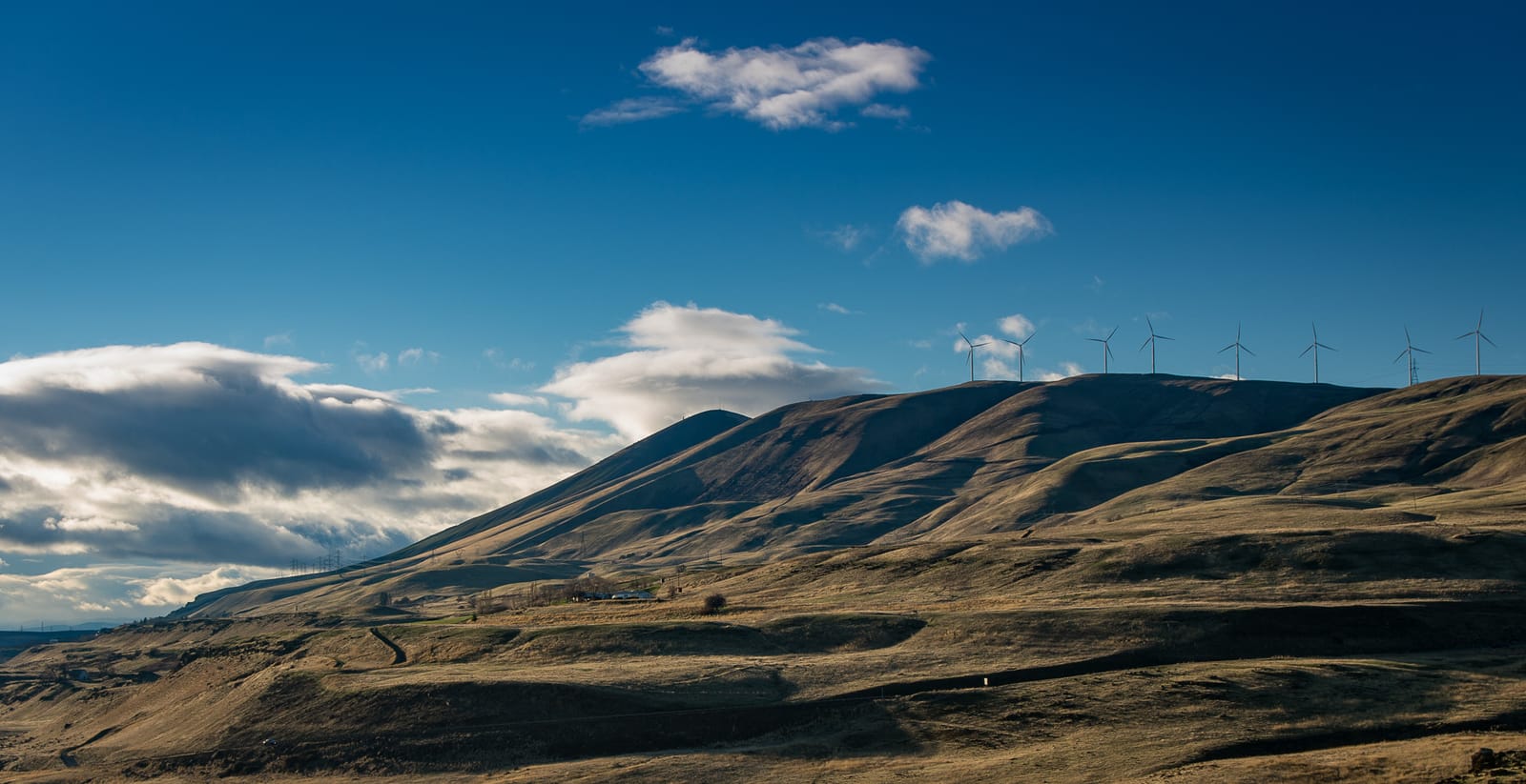 Maryhill(s)