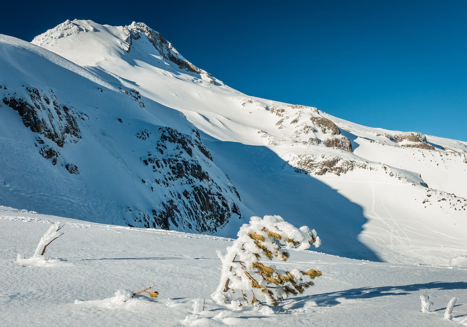 More winter magic from Mt Hood Meadows