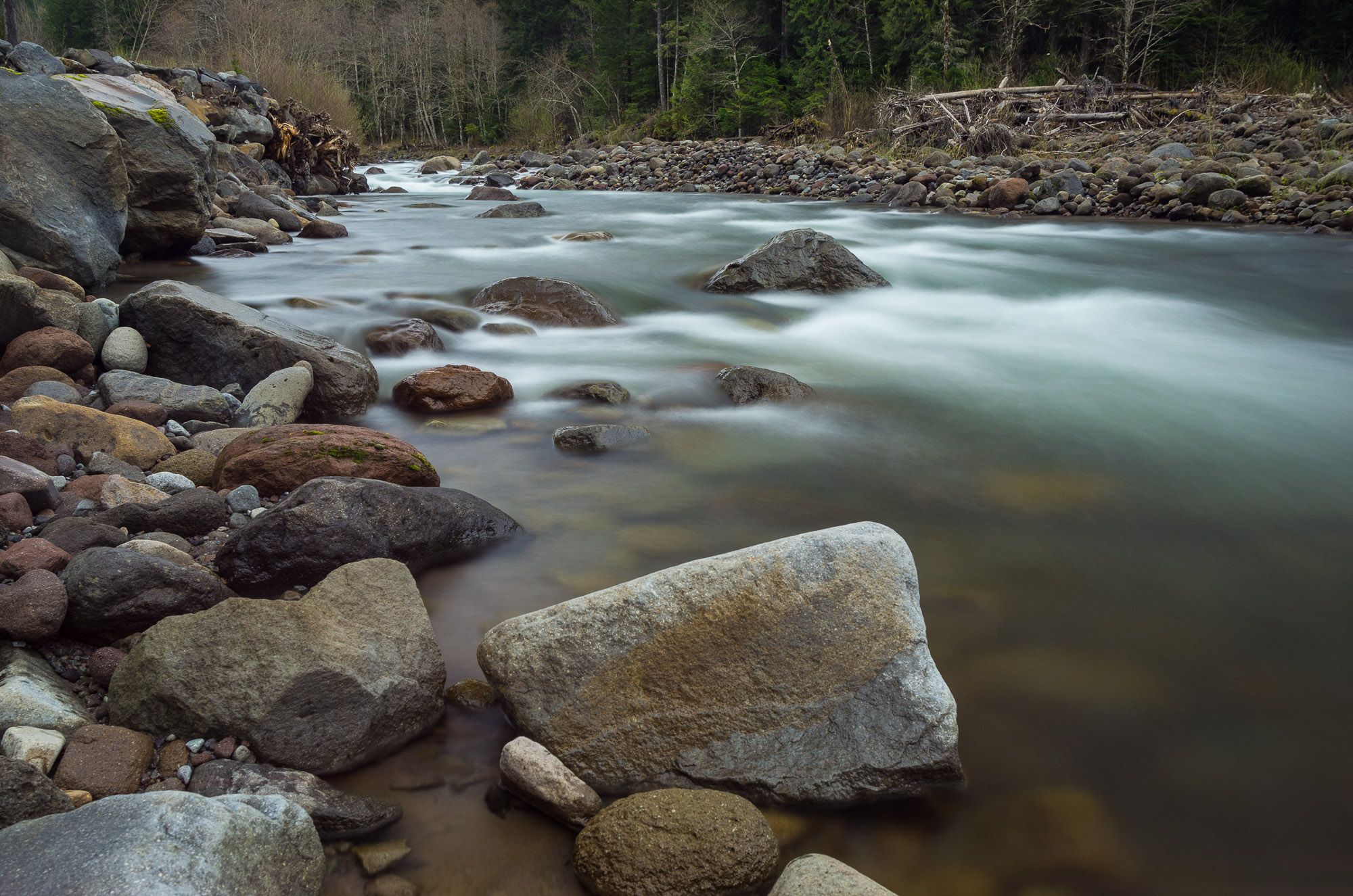 Sandy River (in the backyard)