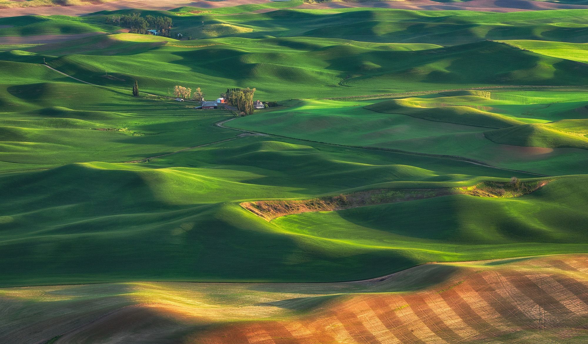 Rolling Hills of Palouse