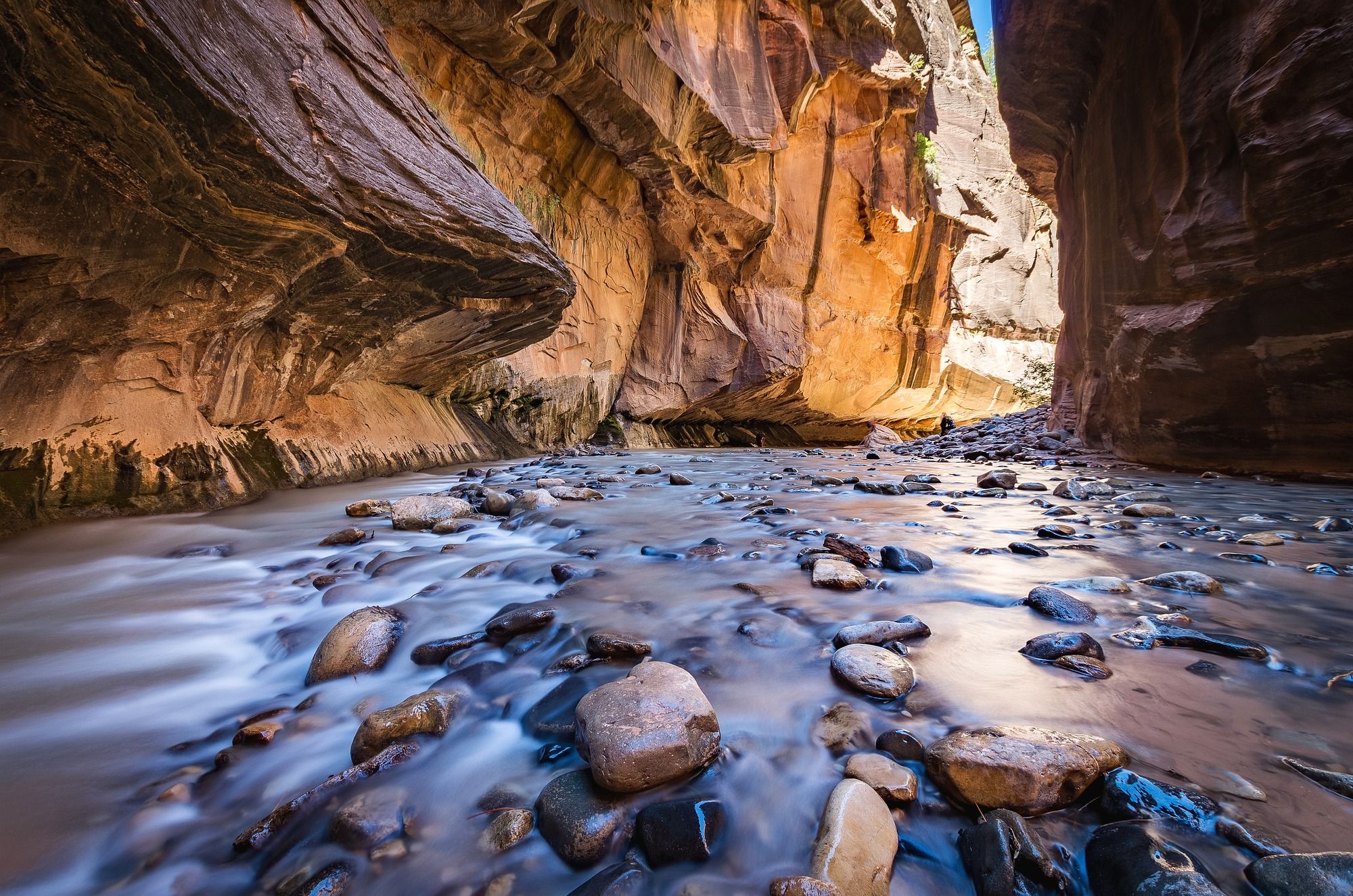 Road trip #4: Zion National Park (The Narrows)
