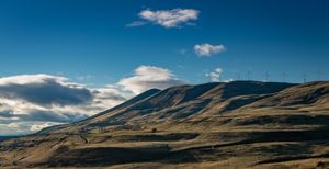 Maryhill(s)