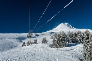 Christmas Day at the Meadows