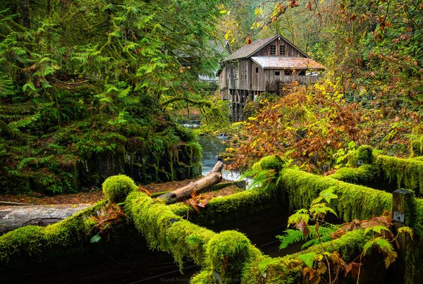 Finding fall colors (Cedar Creek Grist Mill)